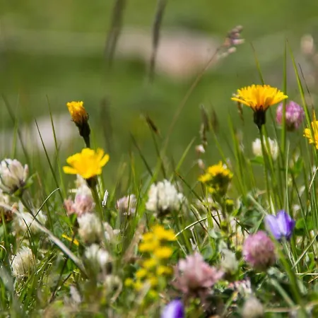 Pensión Le3stanze Borgomanero