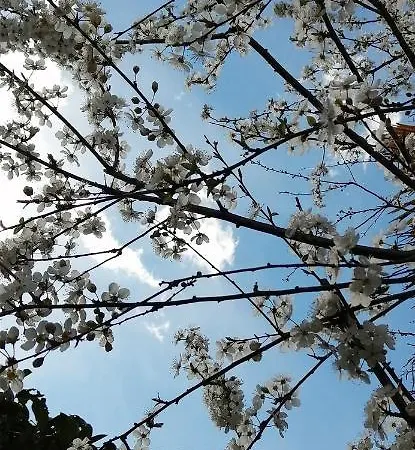 Le3stanze Pensión 3*