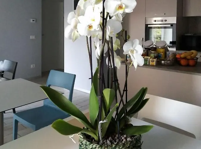 Le3stanze ゲストハウス